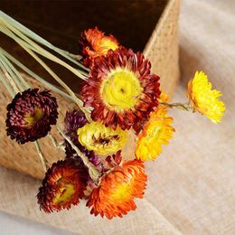 Dried Flowers Natural Daisy Bouquet 40Pcs Artificial Chrysanthemum Dry Flower Arrangements Wedding Table Decor