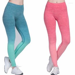 Active Pants Women Sports Gym Yoga Compression Tights Seamless Stretchy High Waist Running Fitness Leggings Hip Push Up Gradient