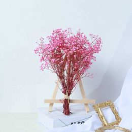 Dried Flowers A Bunch Of Mini Natural Baby's Breath Decor Bouquet Fresh Wedding Photo Background Decors Prese