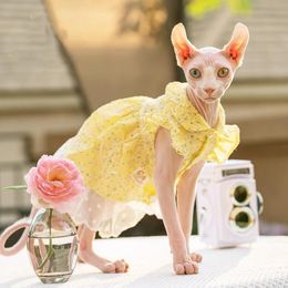 Clothing Sphinx Pet Cat Princess Clothes Black Dresses for Sphynx Lace Floral Kitten Suspender Skirt Elegant Costume Devon Spring Summer