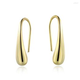 Stud Earrings Gold Plated Fashion European And American Exquisite Jewelry Beautiful Drop Hooks Decorative Brand 2023