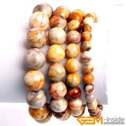 Strand Natural Stone Crazy Lace Agates Beads Bracelet Energy Elastic Loose DIY Fashion Jewelry 6mm 8mm 10mm Adjustable