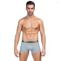 Underpants Ropa Interior Hombre Modal Soft Underwear Men Solid Mid Waist Elastic Wide Belt Man Briefs Vetement Homme MP129