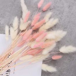 Dried Flowers 50Pcs Mix Lagurus Bunny Tails Grass Decor Home Cake Rabbit Bouquet for Table Decoration