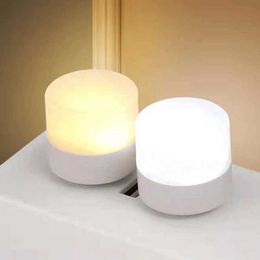 Lights LED Light Bedroom Sleep Lamp Small Size Portable Outdoor Camping Night Blackout Two Colors Home Lighting Read Book HKD230628