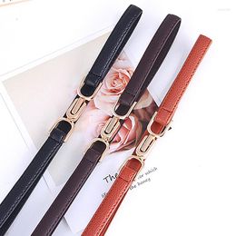 Belts Women Dress Simple Buckle Belt Leather Female PU Ladies Gold Color Design Coat Fashion Decorative Elegant