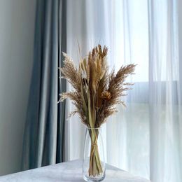 Dried Flowers Natural Dry Small Grass Phragmites Communis Bouquet for Wedding Floral Arrangements Home Decoration