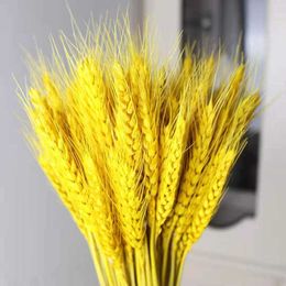 Dried Flowers 100pcs Wheats Bunch Symbolise the Prosperity New Life Living Room Garden Wedding Hotel Decoration GRSA889