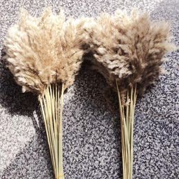 Decorative Flowers Small Pampas Grass Fluffy Room Phragmites Decoration Natural Tail Dried Bouquet Boho Home Decor Accessories