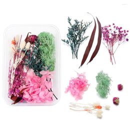 Decorative Flowers Dried Flower Dry Plants For Candle Premium Pressed Leaves And Handmade DIY