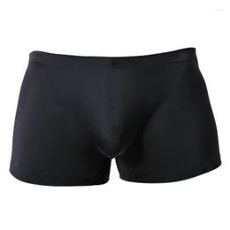 Underpants Mens Ice Silk Boxers Breathable Transparentes Men UnderMear Boxer Sexy Homme Jockstrap Gay Fetish Homens One-Piece Shorts