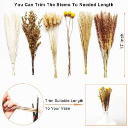 Dried Flowers Grass Decor Natural Plants Bouquet Reed Bunny Tails Valentine's for Wedding Home and Farmhouse