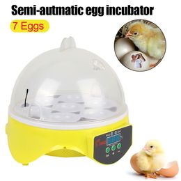 Other Pet Supplies Brooder Poultry Incubator Egg Automatic Intelligent Temperature 7 Eggs Chicken Duck Bird Hatchery Tool 230628