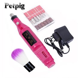 Polijsters Petpig Mini Nail Polishing Machine 110220V EU/US Pen Type Electric Sander Model Making Tool Polishing Machine Tool Sets