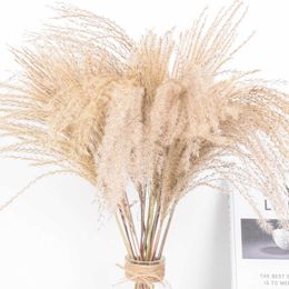 Dried Flowers 15pcs Real Small Grass Decor Wedding Bunch Natural Plants Home Phragmites Flower Ornamental