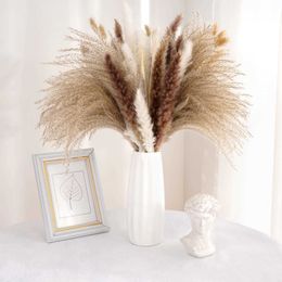 Dried Flowers Grass for Home Room Decor Natural Brown White Fluffy Floral Bouquet Wedding Arrangement Flower