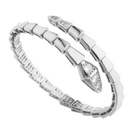 Designer bangle Charm Bangle Bone Women adjustable stainless steel men micro diamond bracelet