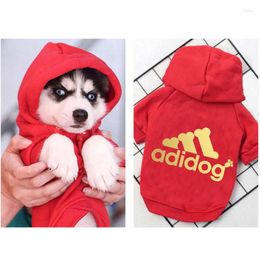 Dog Apparel Outdoor Sports Clothes Gold And Silver Fashion Pattern Small Medium-sized Hoodie Pet Autumn Winter Warm Coat