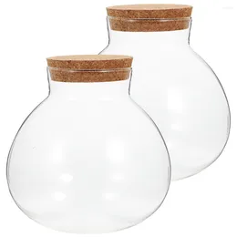 Vases 2pcs Sealed Clear Multi-purpose Premium Spherical Moss Bottle Micro Landscape DIY For Home Decor