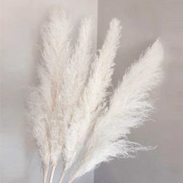 Dried Flowers 80cm Large Grass Fluffy Bouquet Living Room Decoration Home Decor Wedding Party Supplies