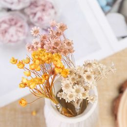 Dried Flowers 30Pcs Mini Daisy Small Star Natural Decorative Bouquet Plants Preserve Floral for Home Decoration