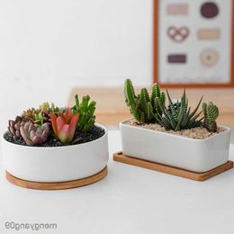 Planters Pots Simple Succulents White Porcelain Flower Pots Round Rectangular Refreshing Ceramic Pots Balcony Green Planting Home Garden Pot R230621