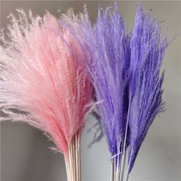 Dried Flowers 18-20pcs/bouquet Nature Reed Flower Small Dust Eternal Wholesale DIY wedding party flower arrangement decor