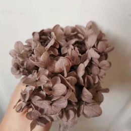 Dried Flowers 5g/lot Natural Preserved Midleaf Hydrangea Nature Fresh Flower Head DIY Valentines Day gift box Real Eternal Wedding Decoration