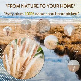 Dried Flowers 92PCS Natural Grass Bouquet Home Decor Phragmites Lagurus for Wedding