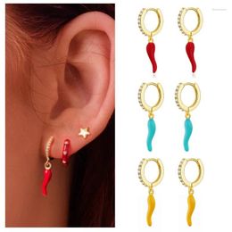 Hoop Earrings Enamel Colourful Chilli & Coin Pendant Drop Piercing Pendientes Punk Party Jewellery Modern Women's 2023