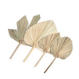 Dried Flowers Dry Palm Fan Leaves Natural Flower Leaf Window Reception Party Art Wall Hanging Decoration Wedding Arrangement