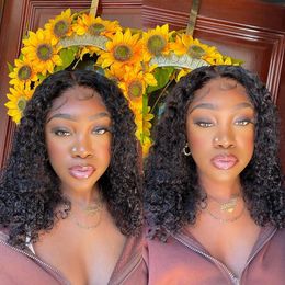 Brazilian Curly Human Hair Wigs Deep Wave Bob Wig Short Wigs Human Hair PrePlucked Transparent Lace Wigs For Women