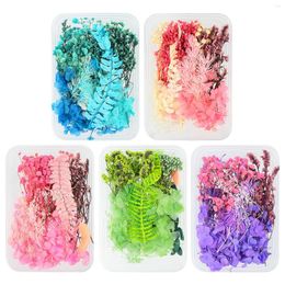 Decorative Flowers 1Box Natural Dried Flower Party Making Po Festival Candle Resin Pendant Necklace Jewelry Craft DIY