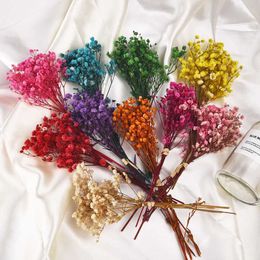 Dried Flowers Mini Babysbreath Natural Fresh Small Bouquet Wedding Party Home Press Decorative Photo Backdrop Decor Craft