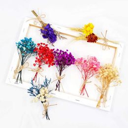 Dried Flowers Natural Mini Baby's Breath for Home Decor Small Gypsophile Bouquet Wedding Corsage Decoration DIY Handicrafts