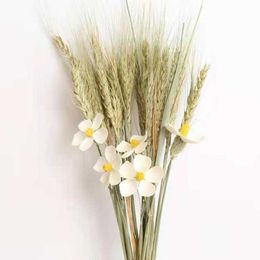 Dried Flowers Chamomile Rabbit Grass Natural Bouquet Wedding Party Decoration Nordic Style Home Decor