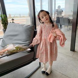 Girl Dresses 2023 Spring Autumn Baby Girls Flower Fahion Style Long Sleeves Floral Dress 2-6 Years Kids Casual Clothing Outfits