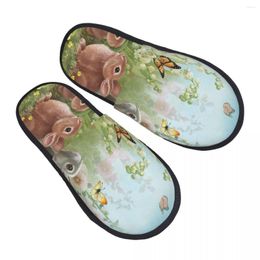 Slippers Winter Slipper Woman Man Fashion Fluffy Warm Spring And Butterfly House Funny Shoes