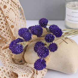 Dried Flowers 15PCS Natural Plant Flower Strawberry Fruit DIY Immortal Christmas Home Wedding Fresh Style Decoration