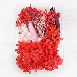 Dried Flowers Mixed Natural Material DIY Art Floral Decors Collection Gift Craft Home Decoration Pressed