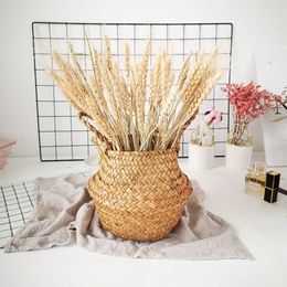 Dried Flowers Artificial Wheat Ears Natural Grain Bouquet For Wedding Party Decoration DIY Craft Scrapbook Home Decor