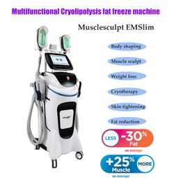 Cryolipolysis fat freeze machine 5 in 1 tesla emslim muscle stimulate 360 cryo weight loss hiemt slimming machines