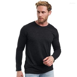 Men's Suits H219 Merino Wool Thermal Long Sleeve T Shirt Base Laye 250g Wicking Breathable Anti-Odor