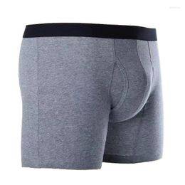 Underpants Product 2023 Solid Color Breathable Soft Cotton Long Boxer Men Underwear 2pcs For Gym Running