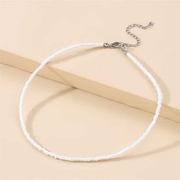 Beaded Necklaces 2023 Simple Seed Bead Choker Necklace Ladies Exquisite Vertical Women Girls Party Beach Travel Fashion Collarbone Chain 230613