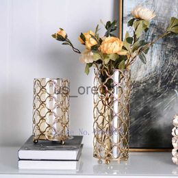Vases Glass Vase Hollow Out Metal Rack Golden Geometry Flower Arrangement Hydroponics Transparent Modern Home Decoration Accessories x0630