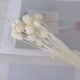 Dried Flowers 10Pcs/Natural Grass Decoration for Flower Arrangement Wedding Bouquet Dekoration