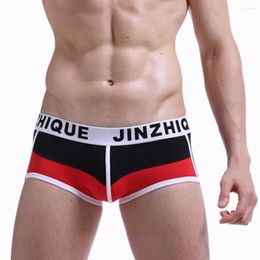 Underpants Men Underwear Briefs Cotton Striped Sexy Mens Style Splicing Knickers Soft Breathable Patchwork Z0506