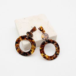 Hoop Earrings & Huggie Acrylic Amber For Women Temperament Exquisite Fashion Trend Accessories Unique Simple 2023 A011