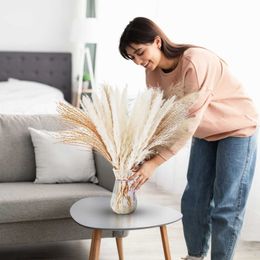 Dried Flowers Grass Natural Bouquet Small Fluffy Reed with Bunny Tails for Floral Arrangement Wedding